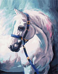 Картина по номерам Белая лошадь с уздечкой, арт. PK38005