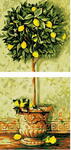 Картина по номерам Лимонное дерево (модульная), арт. PRX2003 