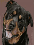 Картина по номерам Счастливый пес, арт. GX34533