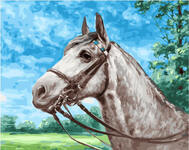 Картина по номерам Серая лошадка, арт. GX34666