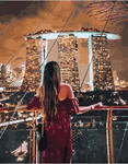 Картина по номерам Вечер в Сингапуре, арт. PK51068