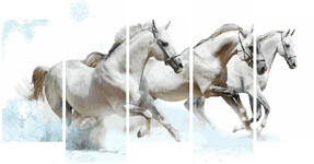 Картина по номерам Белые лошади (модульная), арт. WX1087 