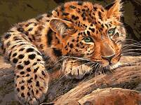 Картина по номерам Задумчивый леопард, арт. EX5807 