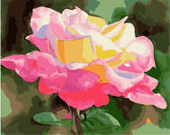 Картина по номерам Бутон розы под солнцем, арт. PK49017