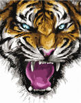 Картина по номерам Ярость тигра, арт. GX32681