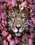 Картина по номерам Весенний леопард, арт. GX32400