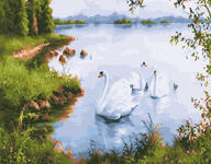 Картина по номерам Лебеди у берега, арт. GX29777