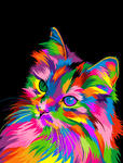 Картина по номерам Радужный котенок, арт. GX30283