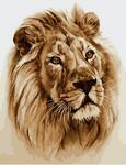 Картина по номерам Взгляд льва, арт. PK19079