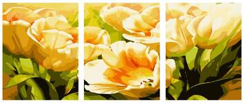 Картина по номерам Тюльпаны (модульная), арт. P054