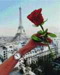 Алмазная мозаика Роза Парижа, арт. APK24010