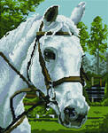 Алмазная мозаика Белая лошадь, арт. EF448