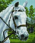 Алмазная мозаика Белая лошадь, арт. EF448