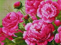 Алмазная мозаика Розовые пионы, арт. EF902