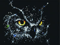 Алмазная мозаика Звездная сова, арт. EF901