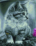 Алмазная мозаика Серый котенок, арт. GF3982