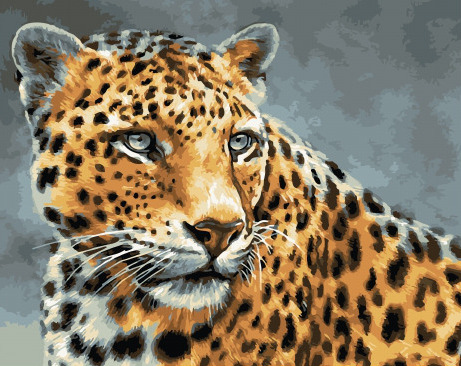 Картина по номерам Леопард, арт. GX32198