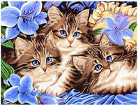 Картина по номерам Котята в цветах, арт. EX5689