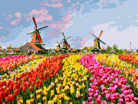 Картина по номерам Разноцветное поле тюльпанов, арт. EX6367 