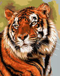 Картина по номерам Тигр, арт. GX33114