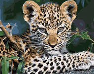 Картина по номерам Подрастающий леопард, арт. GX32126