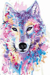 Картина по номерам Портрет разноцветного волка, арт. PK38048