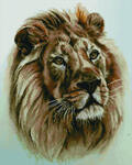 Алмазная мозаика Взгляд льва, арт. APK19079